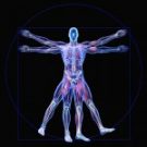 Understanding Human Nature: Spirit, Mind & Body