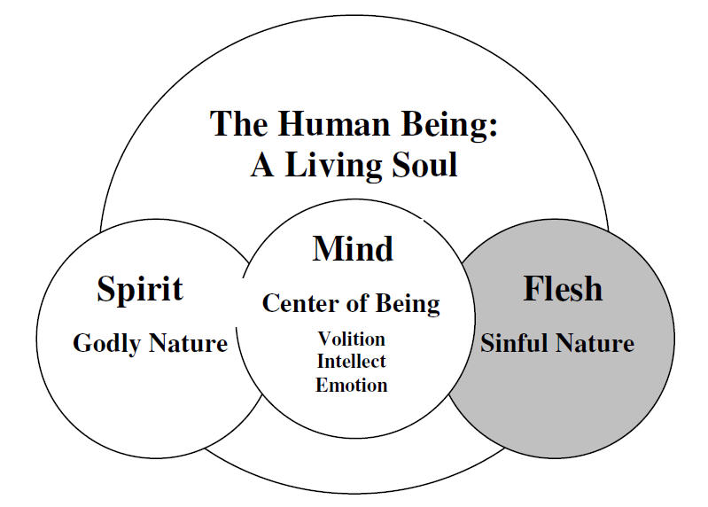 tweet grøntsager Positiv Understanding Human Nature: Mind, Body and Spirit