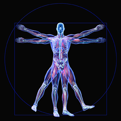 Understanding Human Nature: Spirit, Mind & Body